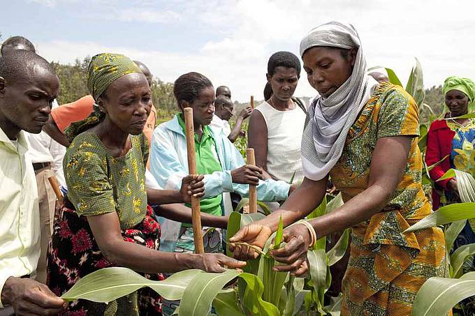 Im Bild: Mitglieder einer Nahrungsmittelkooperative in Ruanda (Foto: Karin Desmarowitz/Brot für die Welt)