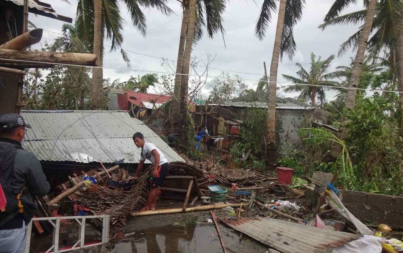Bis zu 100 Prozent der Ernte in der Region Ilocos Norte hat der Taifun Mangkhut zerstört. Foto: CDRC