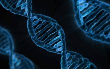 Der medizinische Nutzen von Gen-Experimenten sei fraglich, die möglichen Nebenwirkungen nicht abzuschätzen, sagt der Theologe und Medizinethiker Ulrich Körtner. Foto: pixabay