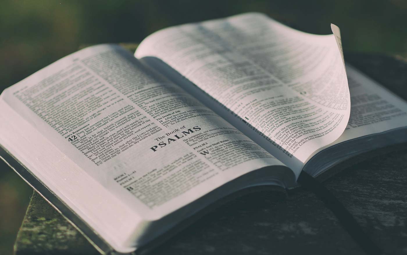 Massive Kritik am Missbrauch der Bibel durch Donald Trump kommt von der Evangelisch-theologischen Fakultät in Wien. Foto: pexels/pixabay