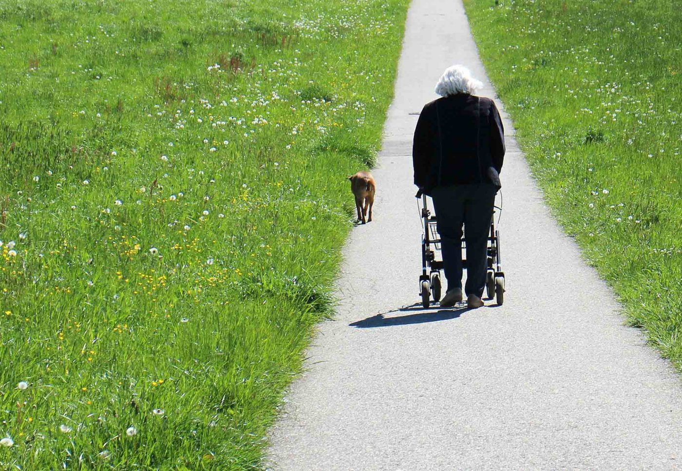 Die NGOs erhoffen sich etwa mehr Unterstützung für pflegende Angehörige und bessere Arbeitsbedingungen für das Pflegepersonal. Foto: pixabay
