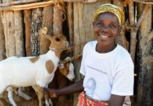 Ziegen sind eine wichtige Einkommensquelle für Familien in Ostafrika. (Foto: Jörg Böthling/Brot für die Welt)