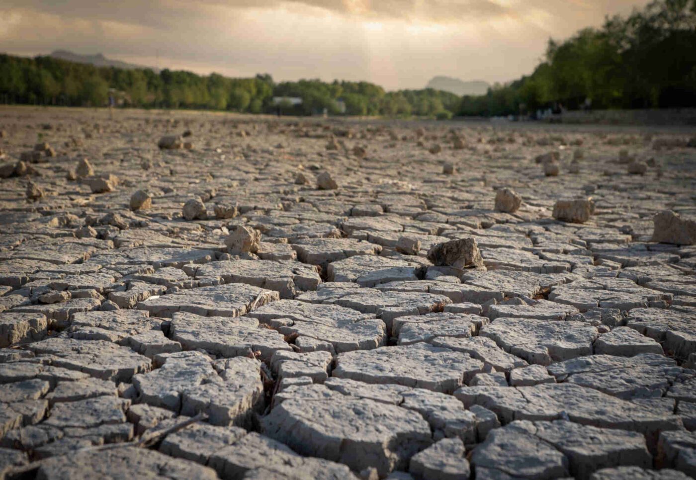 Angesichts der Klimakatastrophe braucht es Menschenschutz, damit auch für Menschen der Planeten bewohnbar bleibt, betont Bischof Chalupka. (Foto: Depositphotos / uskarp)